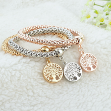Load image into Gallery viewer, Austrian Rhinestones Tree of Life Charm Mesh Bracelet Set
