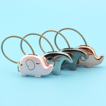 Load image into Gallery viewer, Save The Elephant Love Keychain Set
