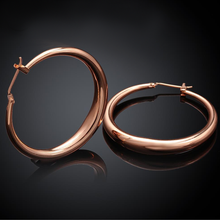 Load image into Gallery viewer, Solid Gold French Lock Hoops
